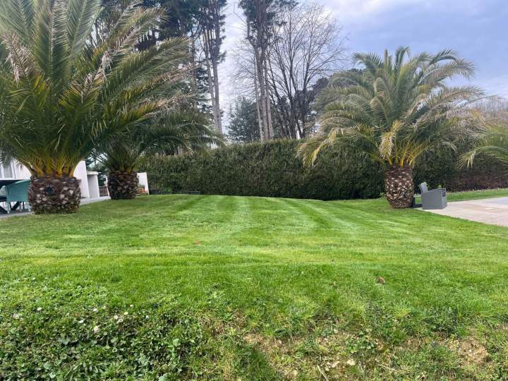 Entretien d'espaces verts Pornichet,