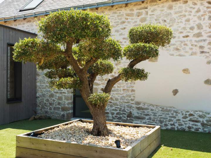 AM PAYSAGE 54