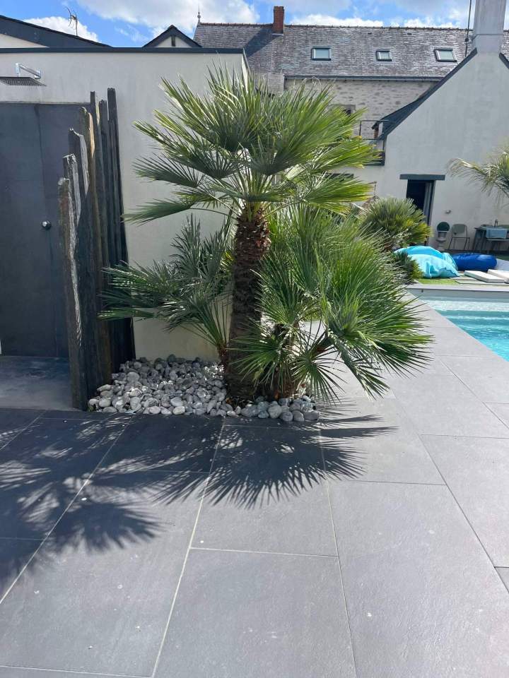 Vignette servicesEntretien d'espaces verts pour un jardin impeccable toute l'année